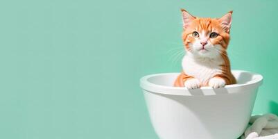 carino gattino nel un' bagno con schiuma bandiera foto