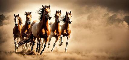 cavalli in esecuzione attraverso il polveroso campo foto