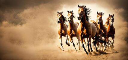 cavalli in esecuzione attraverso il polveroso campo foto