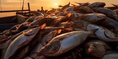 attraente frutti di mare nel il oceano su Barche foto