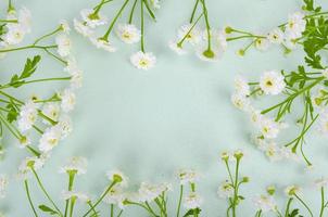 bouquet di piccoli fiori da giardino bianchi su sfondo verde chiaro. foto