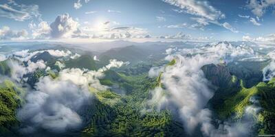 nebbia nel foresta aereo Visualizza foto