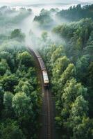nebbia nel foresta aereo Visualizza foto