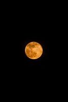 pieno super Luna al di sopra di buio nero cielo a notte foto