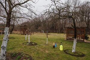 un' spray frutta alberi con contro parassiti e malattie presto primavera in lavorazione foto