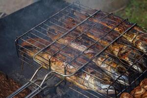 grigliato pesce. cucinando pesce su il barbecue griglia. foto