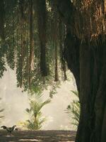 banyan albero nel il grotta di vergine Maria puhsarang foto