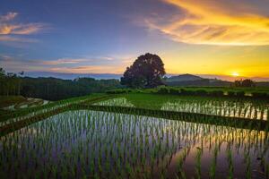 bellissimo mattina Visualizza a partire dal Indonesia di montagne e tropicale foresta foto