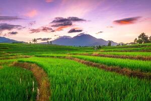 bellissimo mattina Visualizza a partire dal Indonesia di montagne e tropicale foresta foto