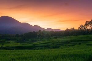 bellissimo mattina Visualizza a partire dal Indonesia di montagne e tropicale foresta foto