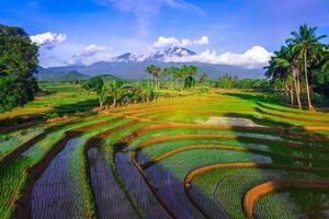 bellissimo mattina Visualizza a partire dal Indonesia di montagne e tropicale foresta foto