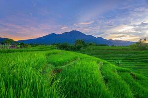 bellissimo mattina Visualizza a partire dal Indonesia di montagne e tropicale foresta foto