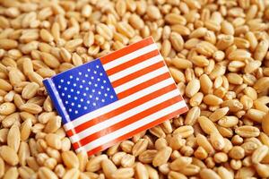 Stati Uniti d'America America bandiera su grano Grano, commercio esportare e economia concetto. foto