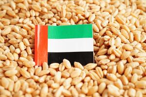 unito arabo Emirates bandiera su grano Grano, commercio esportare e economia concetto. foto