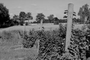 nel il Tedesco Münsterland foto