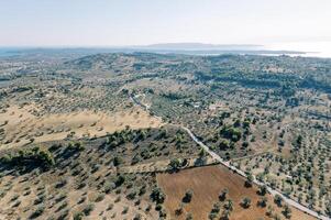 strada attraverso oliva piantagioni su il montagna piste. Grecia. fuco foto