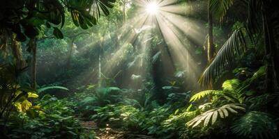 tropicale pioggia giungla in profondità foresta con beab raggio leggero splendente. natura all'aperto avventura vibrazione scena sfondo Visualizza foto