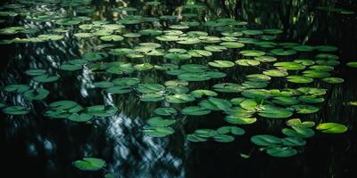 verde le foglie su stagno fiume lago paesaggio sfondo Visualizza foto