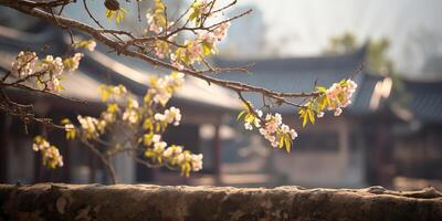 antico asiatico giapponese Cinese vecchio Vintage ▾ retrò cittadina città edificio tempio con natura albero fiori foto