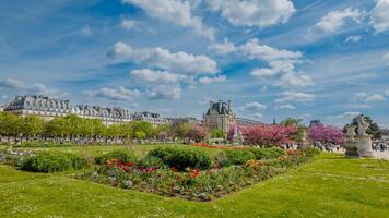 lussureggiante primavera giardini nel fioritura con vivace fiori a il storico tuileries giardino nel Parigi, Perfetto per viaggio e Pasqua sfondi foto