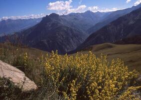 un' montagna gamma con un' valle e alcuni fiori foto