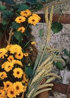 un' cestino con giallo fiori e Grano foto