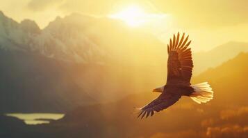 maestoso aquila Soaring sopra un' montagna gamma a alba caldo luce del sole illuminante suo diffusione Ali foto