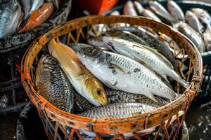 pescatori cestino pieno di vario fresco pesce, catturato e pronto per essere puliti, ricco dettaglio e colore foto