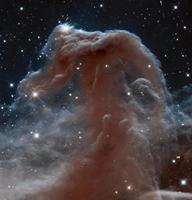 Nebulosa testa di cavallo vista dal telescopio spaziale Hubble foto