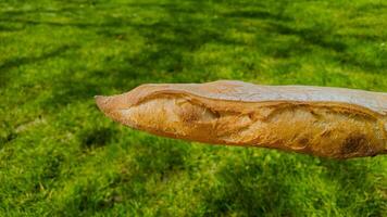 d'oro croccante baguette galleggiante contro un' lussureggiante verde prato sfondo, evocando concetti di francese cucina e picnic nel estate foto