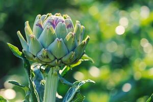 vicino su di un carciofo fiore contro un' sfocato verde giardino, unico floreale aspetto foto