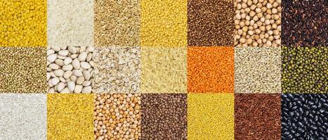 modello di diverso cereali, cereali, riso e fagioli sfondi foto