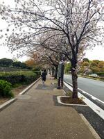 tokyo, Giappone su aprile 14, 2019. alcuni persone siamo jogging lungo il strada per il tokyo imperiale palazzo foto