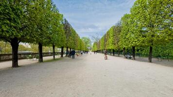 tranquillo albero foderato parco vicolo con persone passeggiare, simboleggiante rilassamento e terra giorno, tipico di europeo urbano verde spazi nel primavera foto