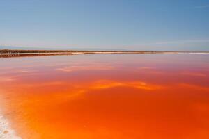 vivace rosa lago riflettendo chiaro blu cielo, alviso, California foto