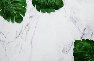 foglie di monstera su uno sfondo di marmo