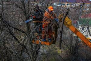 dnepr, Ucraina - 20.03.2024 comunale servizio lavoratori In piedi con un' motosega nel un' gru cestino e tagliare pericoloso alberi. foto