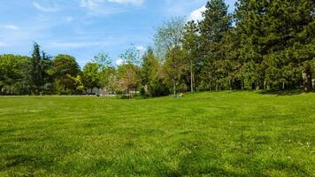 tranquillo città parco con lussureggiante verde erba e diverso alberi su un' chiaro, soleggiato giorno, ideale per terra giorno temi e all'aperto tempo libero concetti foto