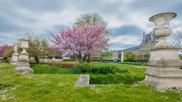 primavera nel un' europeo classico giardino con fioritura rosa ciliegia alberi, ornato urne, e lussureggiante verde, ideale per viaggio e Pasqua vacanza concetti foto