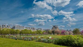 primavera nel Parigi con vivace tulipani e verdura nel tuileries giardino, ideale per Pasqua vacanza e viaggio concetti, con chiaro blu cieli e storico architettura foto