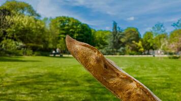 fresco francese baguette tenuto contro un' soleggiato parco sfondo, ideale per picnic, gastronomia, e stile di vita temi, particolarmente durante primavera e estate le stagioni foto