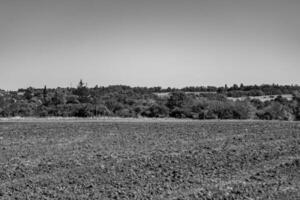 fotografia su tema grande vuoto azienda agricola campo per biologico raccogliere foto