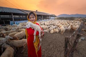 vietnamita donna con agnello su un' campagna, un' pecora azienda agricola nel il steppa zona nel ninh gio Provincia, Vietnam. foto