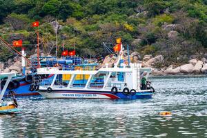 Visualizza di vinh ciao baia, nui chua nazionale parco, ninh gio Provincia, Vietnam foto