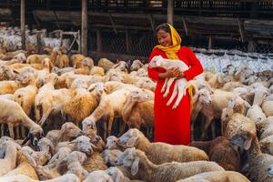 vietnamita donna con agnello su un' campagna, un' pecora azienda agricola nel il steppa zona nel ninh gio Provincia, Vietnam. foto