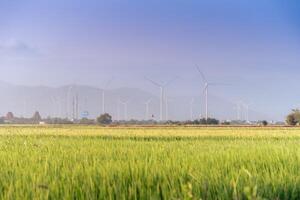 Visualizza di turbina verde energia elettricità, mulino a vento per elettrico energia produzione, vento turbine generando elettricità su riso campo a phan suonò, ninh gio Provincia, Vietnam foto