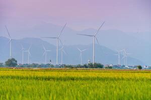 Visualizza di turbina verde energia elettricità, mulino a vento per elettrico energia produzione, vento turbine generando elettricità su riso campo a phan suonò, ninh gio Provincia, Vietnam foto