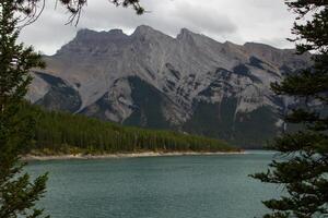 lago minnewanka tra montagna pini. foto