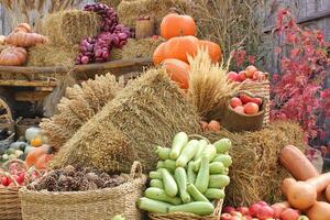 fresco biologico verdure su contadino mercato. Locale azienda agricola bazar. assortimento di fresco biologico raccogliere giardino produrre. bio prodotti, bio ecologia. naturale salutare cibo Festival. agricolo rustico giusto foto