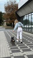 un' ragazza passeggiate con sua cane su un' soleggiato giorno. un' uomo a piedi con un' cane giù il strada. foto